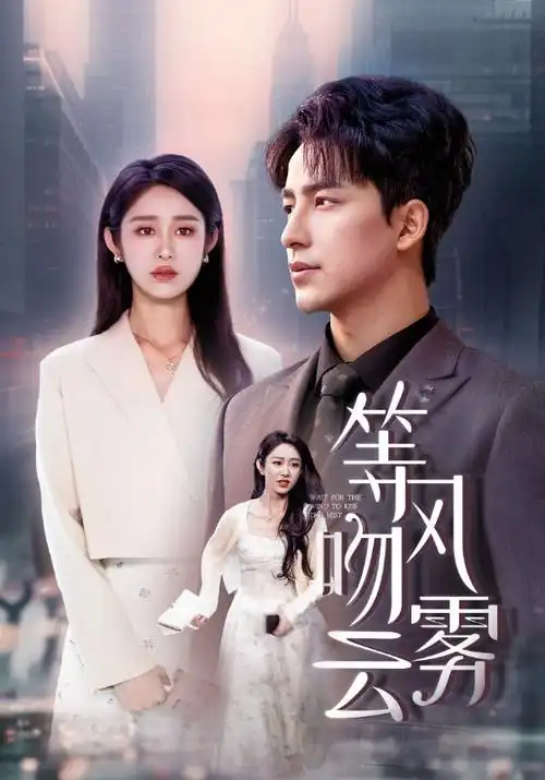 迷雾追踪电视剧海报